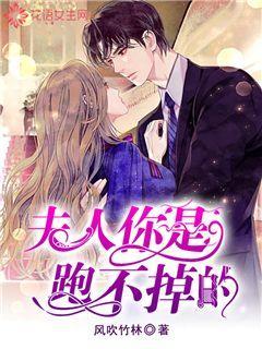 超三国无双5